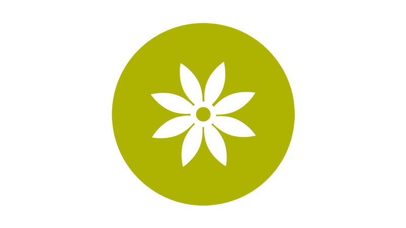 White flower in a lime green circle